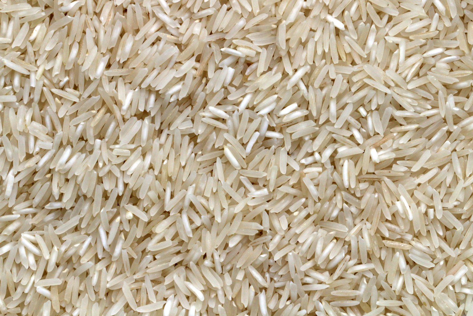 Long-grain basmati rice grains in close detail — Indian premium export quality