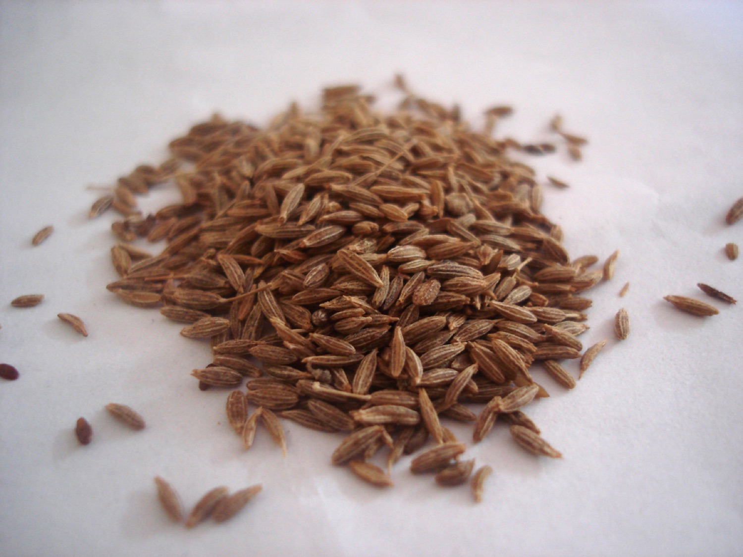 Cumin Seeds — Singapore Quality — Devanshi Tradeables export-grade