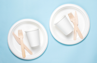 Disposable paper plates — food-grade